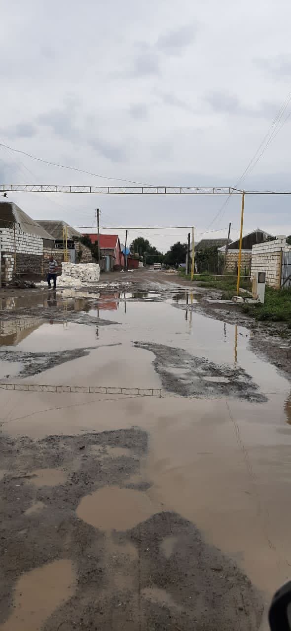 29da48e3 8bf4 40ef afb0 7a2690cb27cd