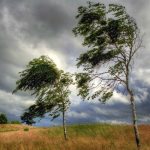 4a7a22d6 1536 4f55 8fda 219f6f26a91e