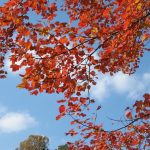 866ef427 fd70 3333 a812 a48e962d2cc8