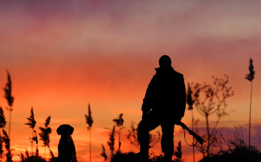 371231e7 69a2 3c97 8c5f ea50f8f420bb 850.jfif