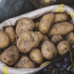 B1cae7ac 2589 3168 8299 09e7312c530b