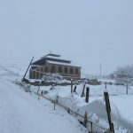 Bf5b496e 77a5 3cb7 a5d8 66dc02f62e7a