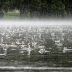 Cd115c94 16a5 4f73 9ff0 243399e629ed