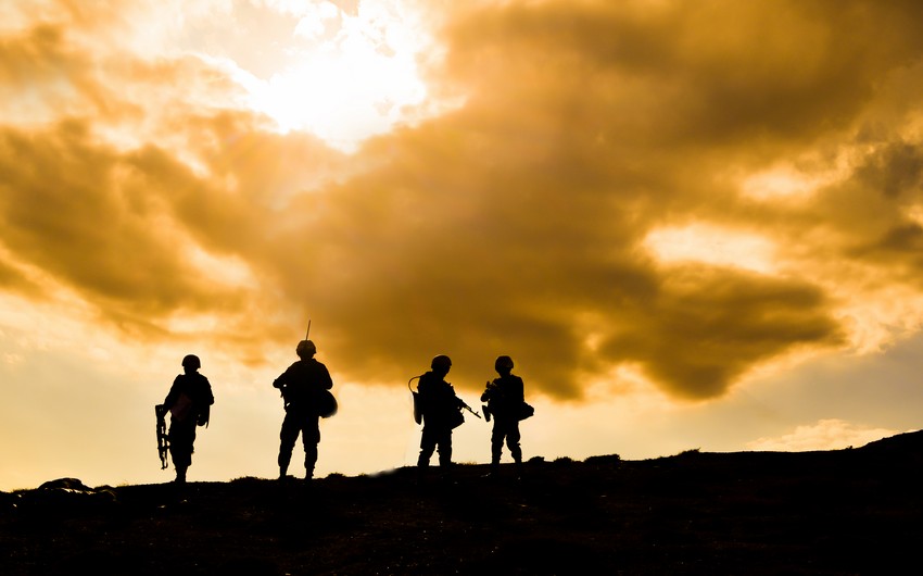 0c919c33 cb48 3546 bdfb 68c25e186232