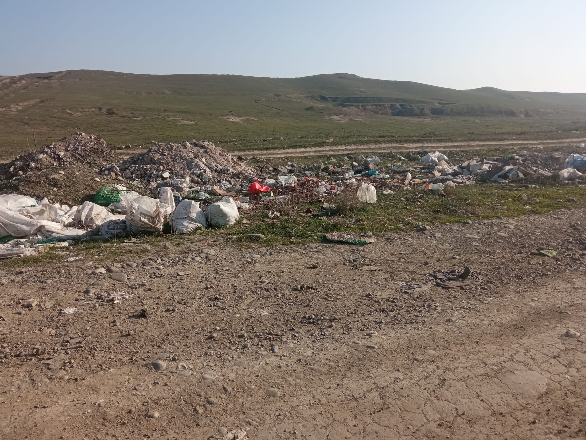 259652523 5370119226348079 3210734599627846423 n