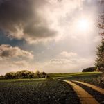 27964181 df84 316c b16f 554431a96668