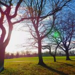 41f01be6 cca7 335b b975 0cae2ddebdb6