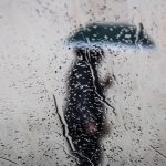 4de33952 e004 37f1 9139 397a85d0f552