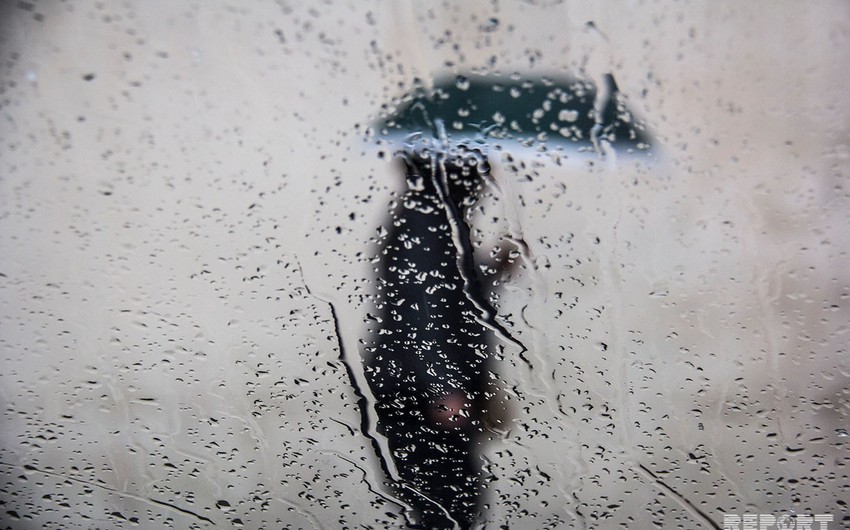 4de33952 e004 37f1 9139 397a85d0f552