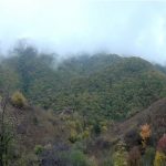 6183a9fa42fc46183a9fa42fc516360186826183a9fa42fc16183a9fa42fc2