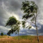 61921f3961fa261921f3961fa3163696620161921f3961f9f61921f3961fa0