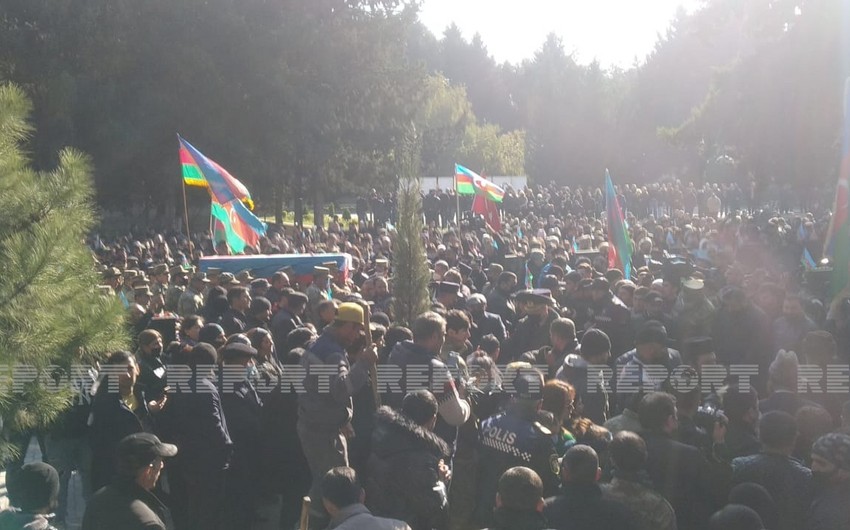 69d9bc57 d15c 3d9b 90fa 161050fe6d51