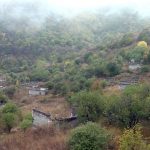 Bcf51380 5a62 3765 9ef6 dca763ad9a4a