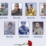 D167e83a 3b78 398f 8ee2 36666b581635