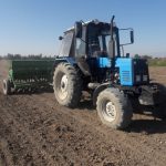 15427161485504420216 1000x669