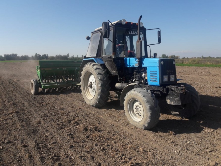 15427161485504420216 1000x669