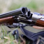 1617008389783733971 1000x669