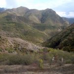 61b8479fd49c761b8479fd49c8163946691161b8479fd49c561b8479fd49c6