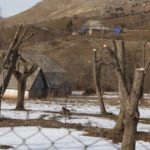 Gədəbəy / Qərb Xəbər