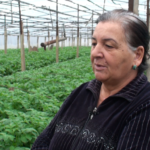 EDIUS 14.03.2022 11 53