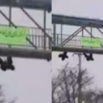 FotoJet 2022 03 22T134842.667