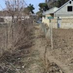 IMG 20220310 132648 (1)