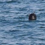 Abc506cc 3cef 39de 8815 30dd6032be6c