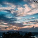 Df5c8615 f1d8 3a49 8817 5237ce1e7faf