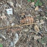 E0ba1577 e179 3097 ba75 7f6ff2d77c6c