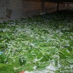 4c89433cffc424810694ca292146419f