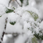 62761e828aedc62761e828aedd165190822662761e828aed962761e828aeda