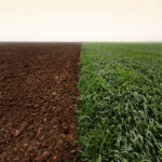 627e49baa6e63627e49baa6e6416524435785bd16d864248aa7d10daf2d4abbe0fe4