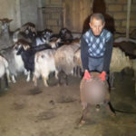 628f2372d84c9628f2372d84ca1653547890628f2372d84c7628f2372d84c8