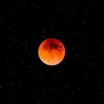 F7b0ca61 f244 3987 90ef 20d293e80c37