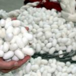 85b94ca007c37485c5b0ca2f5351f5c9