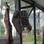 8afab6e2 c2b2 3102 b7f2 2c3072c7bcd5