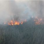 Ee8aa166 03d6 33ff 8518 89e3258e337b