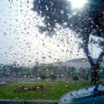 164b1d5f c8c2 3f32 9dbd 6bc8aa3a7979