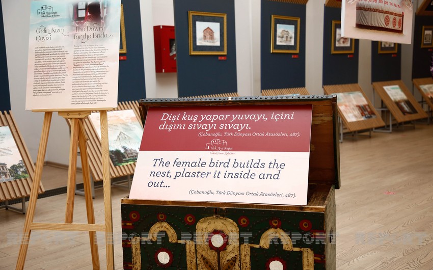 3da9b023 6547 38de b8c4 4ec8c451adae