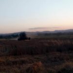 4053017de6dffa81039f778427b66f93