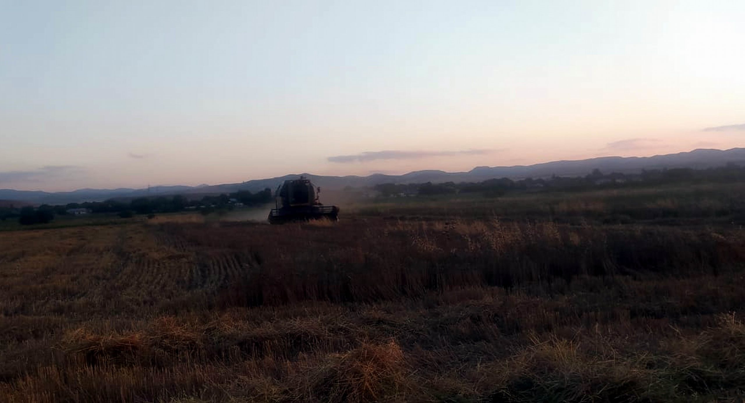 4053017de6dffa81039f778427b66f93