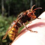 7766f9ec f9a3 3d26 9b4c f144c57ebdb9