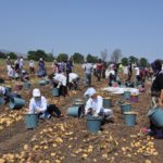 A06dfc127e75425f6d2d45e014171e7a