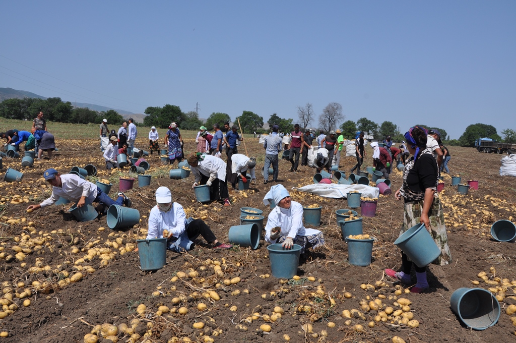 A06dfc127e75425f6d2d45e014171e7a