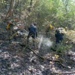 E1ee9576 a0ba 3dfd a5bb 00105fc0a4f8