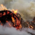 1657101912296459276 1000x669