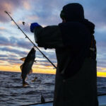 630f851a95e2e630f851a95e2f1661961498630f851a95e29630f851a95e2c