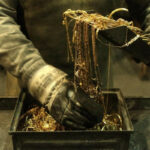 63242ac2d3fd863242ac2d3fd9166331462663242ac2d3fd463242ac2d3fd6