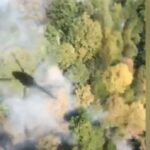 A78c5de5 4b01 3c18 9cc4 a5807abef626