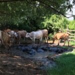 Af433d24 523d 3c42 b620 20fd6dfdfc50